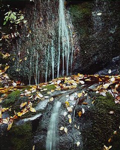 Image description is not available for 1984.031